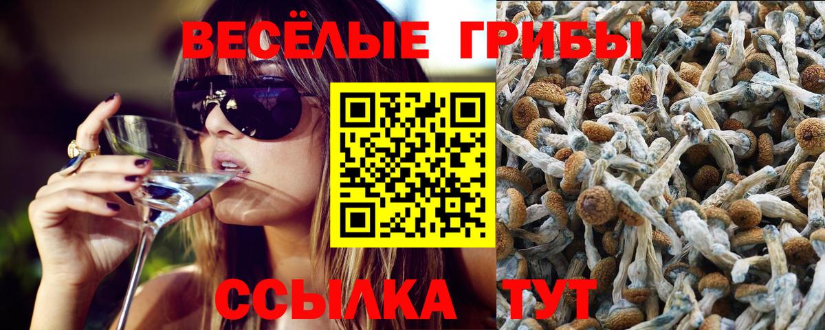 Галлюциногенные грибы MAGIC MUSHROOMS Моздок