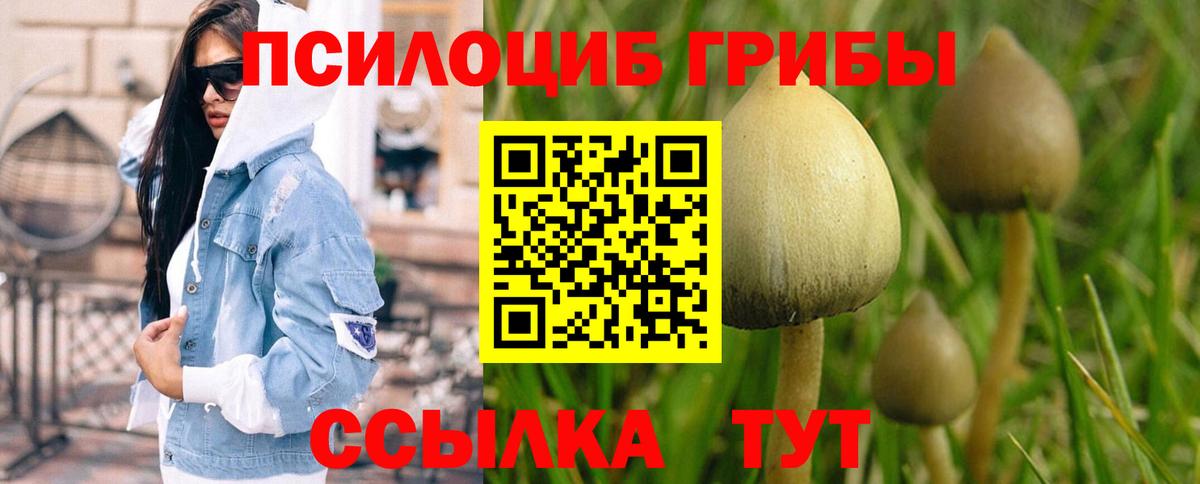 Моздок  Галлюциногенные грибы прущие грибы  Вход с VPN 
